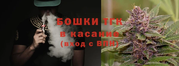 ГАЛЛЮЦИНОГЕННЫЕ ГРИБЫ Баксан
