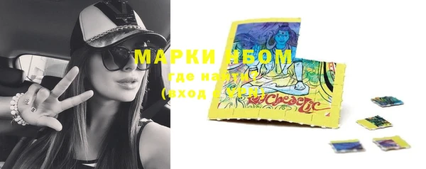 мяу мяу мука Аркадак